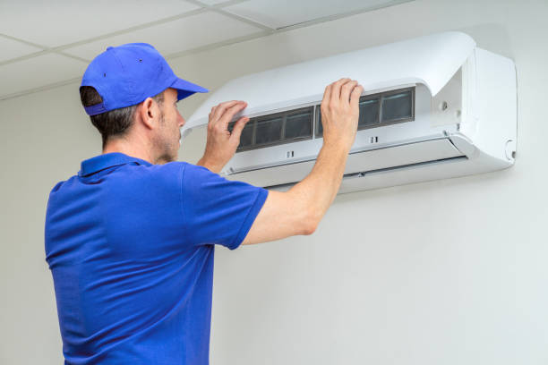 Best Air Duct Mold Removal  in Ogdensburg, NJ